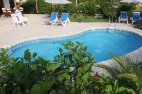 Hotels in Limassol